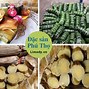 Phúc Thọ Hà Nội Có Đặc Sản Gì